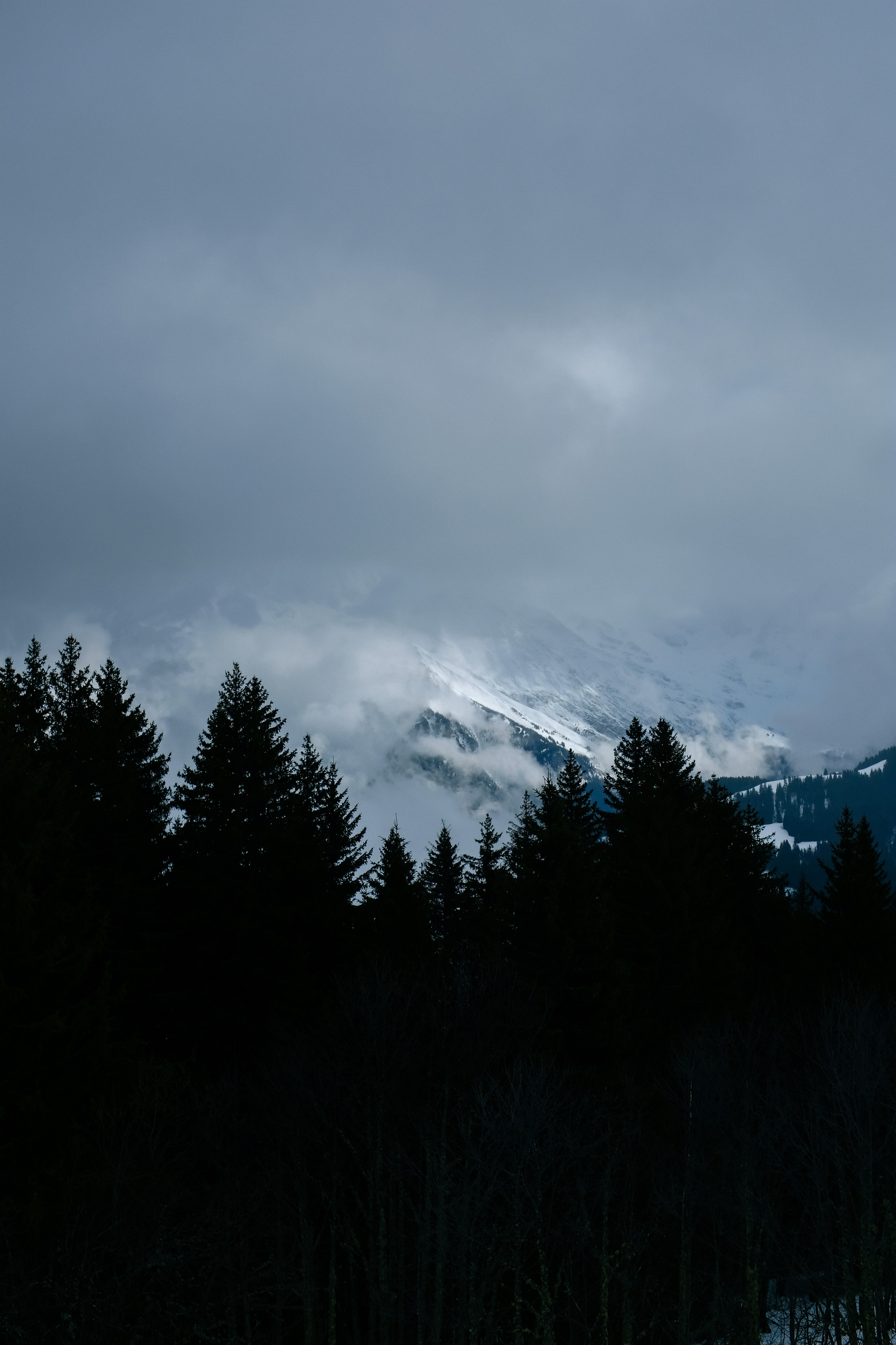 Photo by adrienolichon