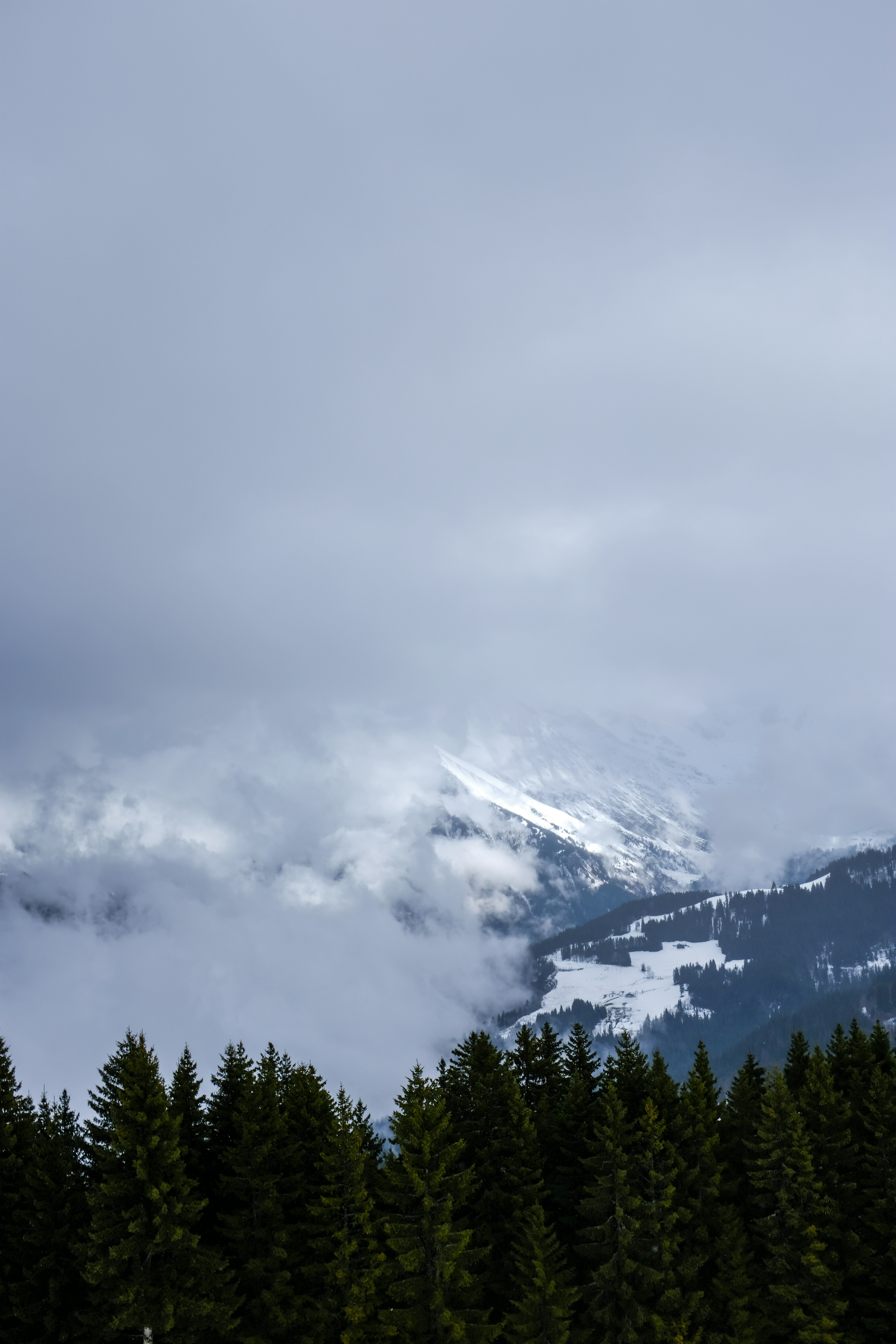 Photo by adrienolichon