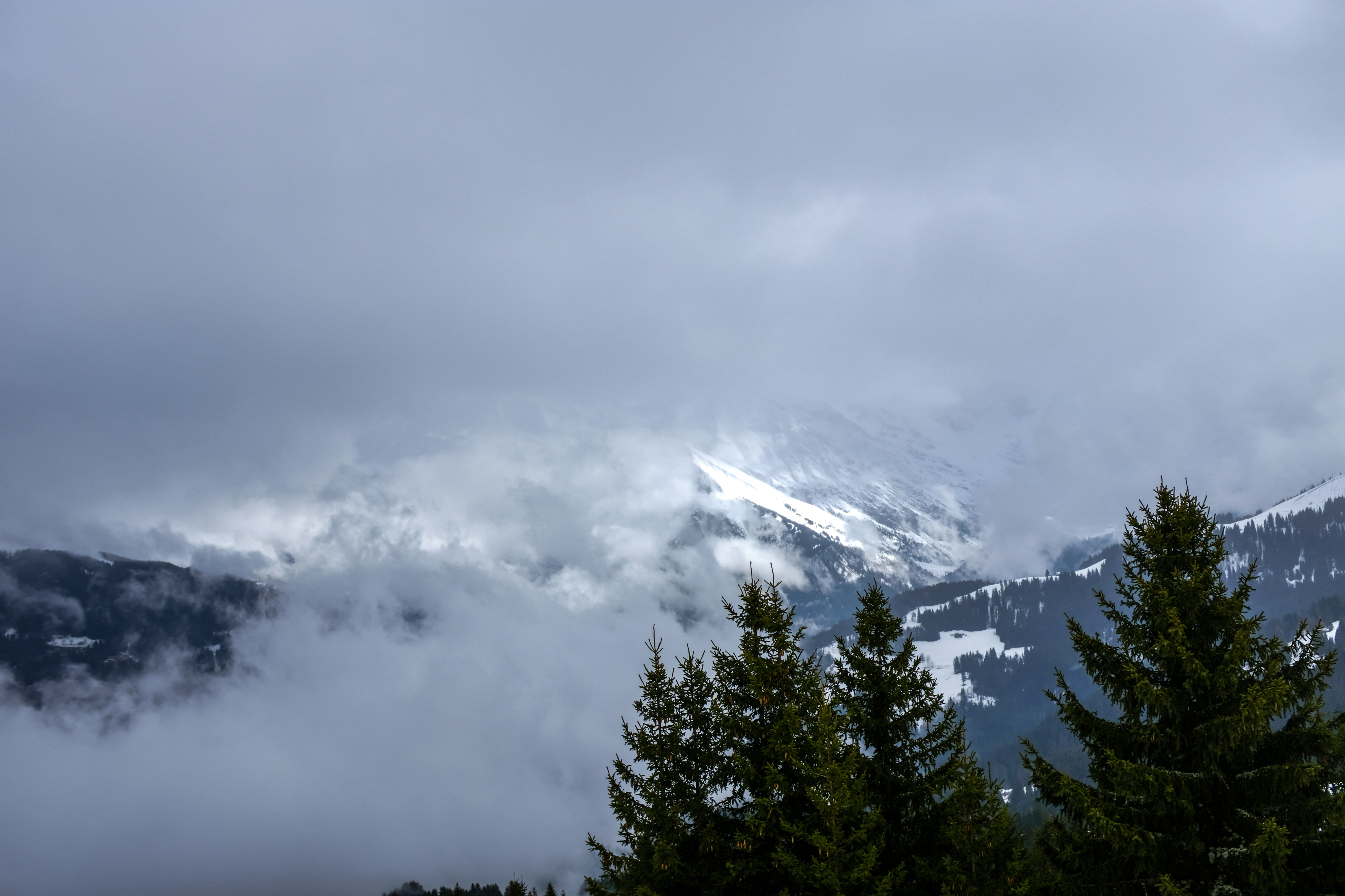 Photo by adrienolichon