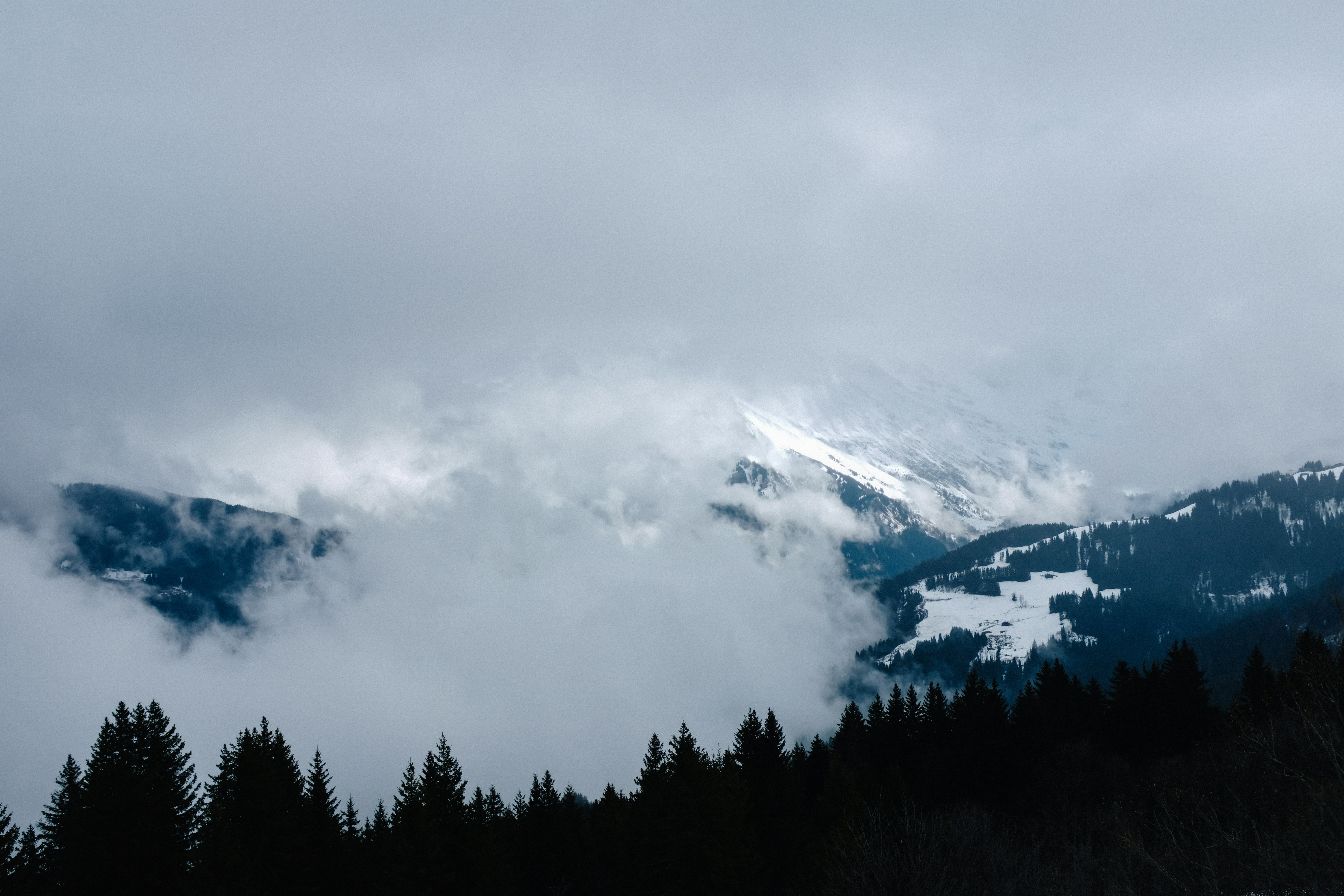 Photo by adrienolichon