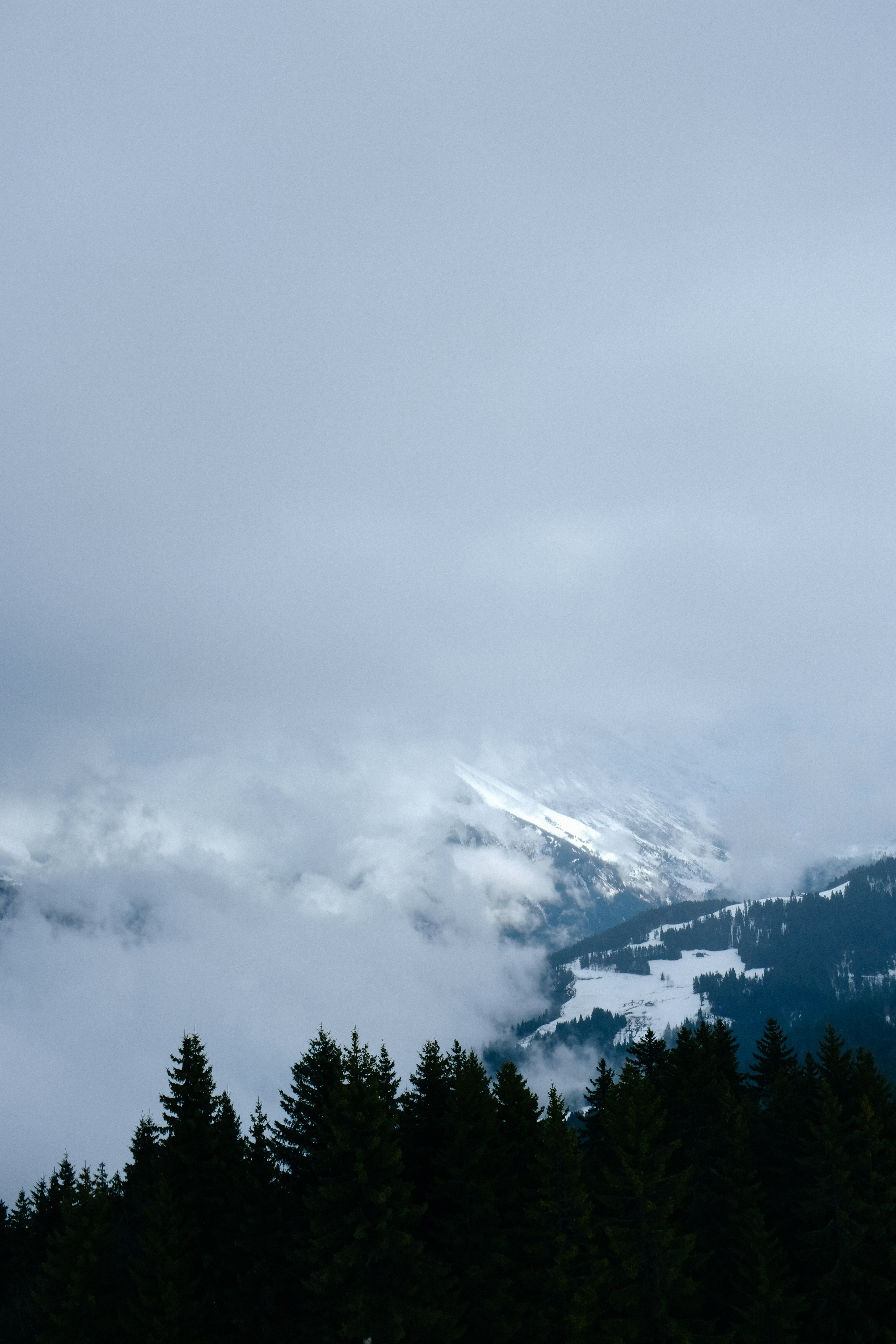 Photo by adrienolichon