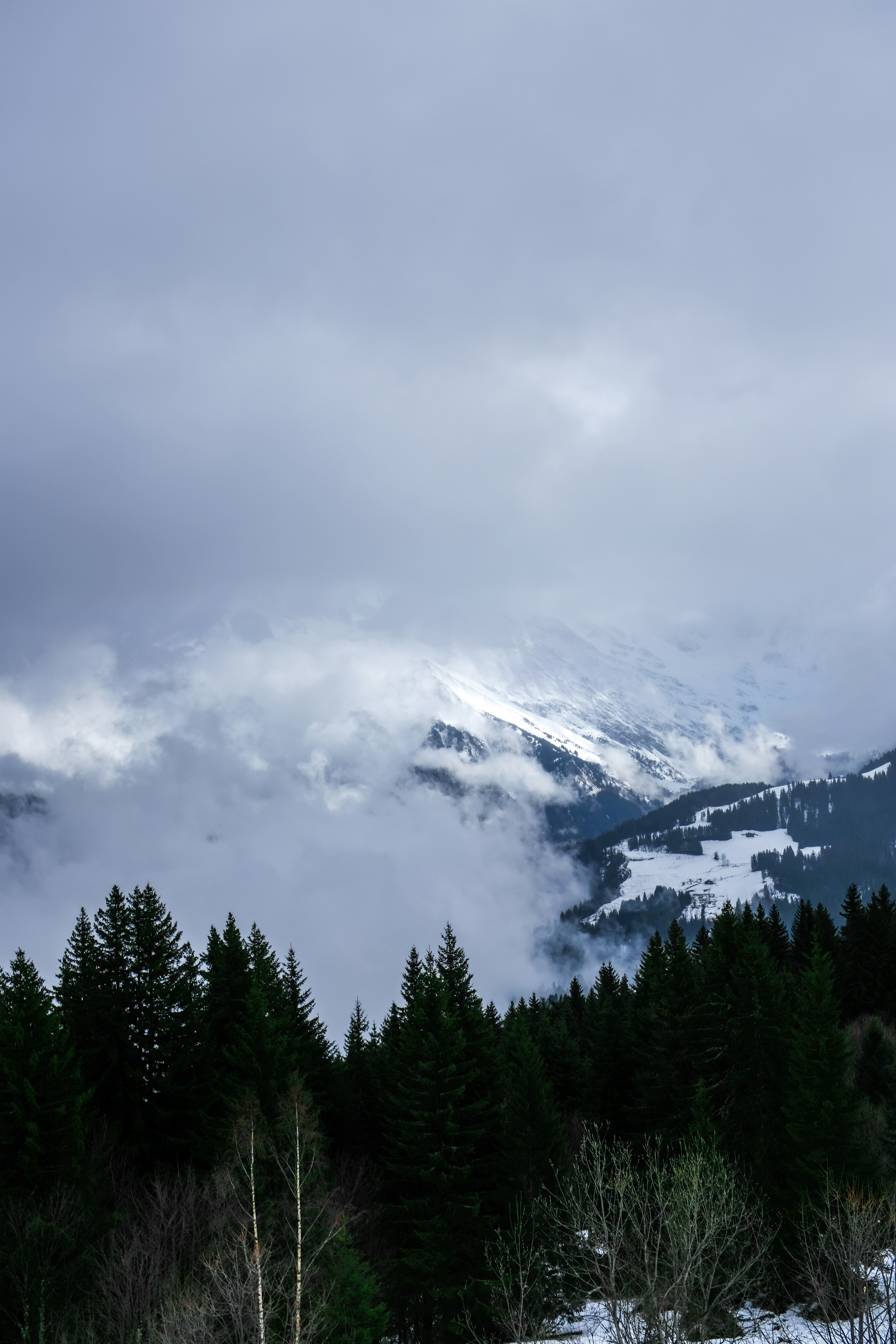 Photo by adrienolichon