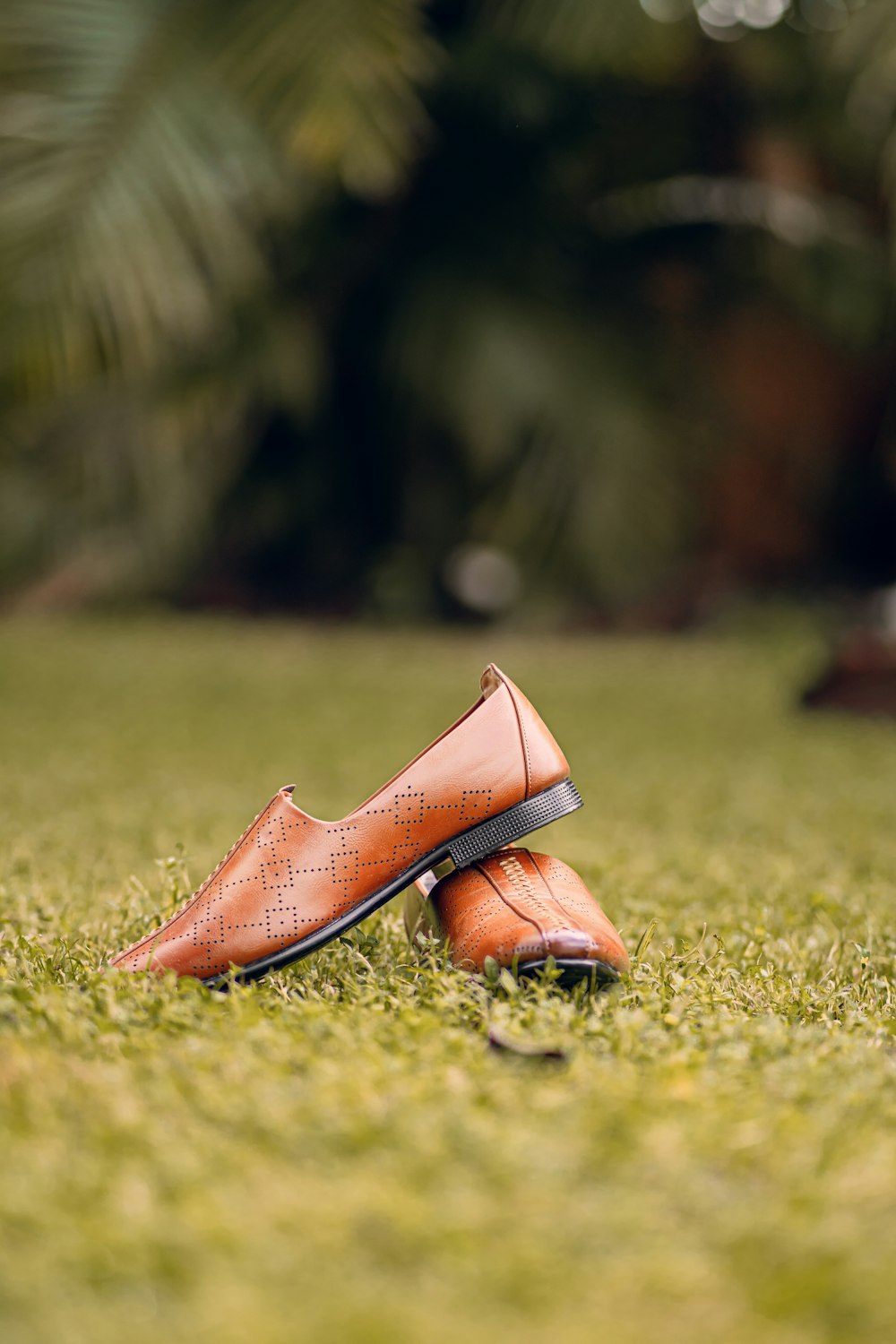 a pair of orange shoes sitting on top of a lush green field