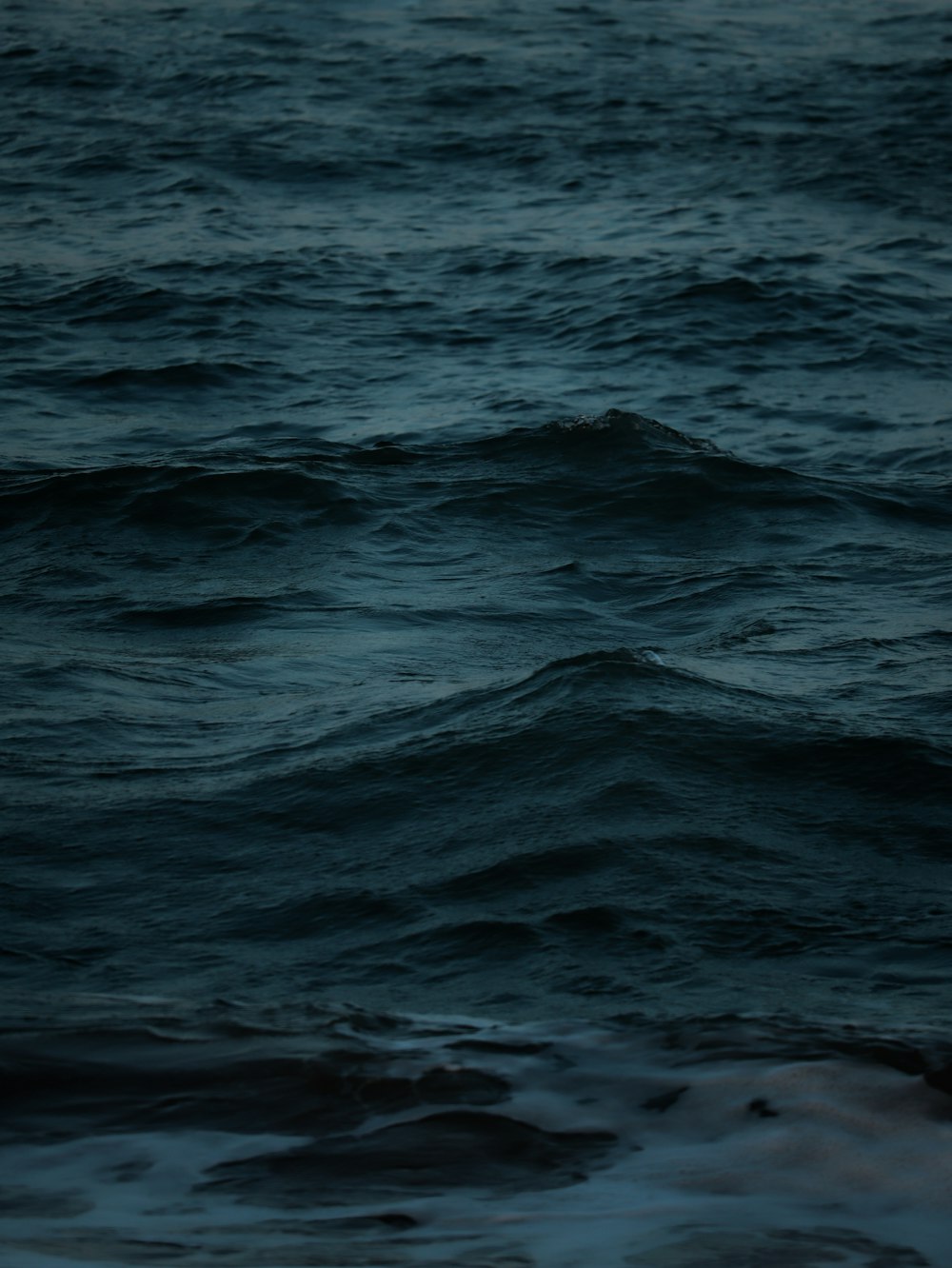 a bird flying over a body of water at night