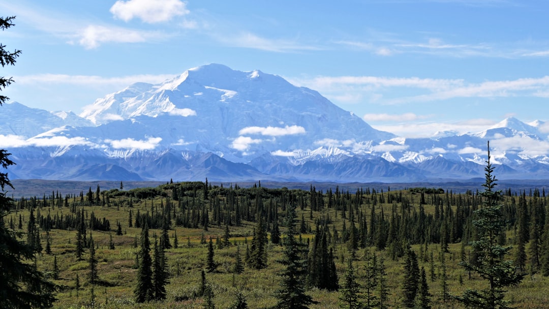 a view of a mountain range with trees in the foreground