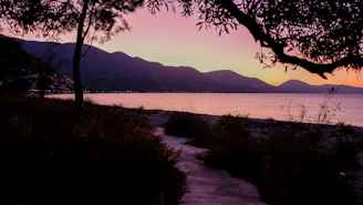 Sunset over a quiet land plot with a small path leading to the shore.