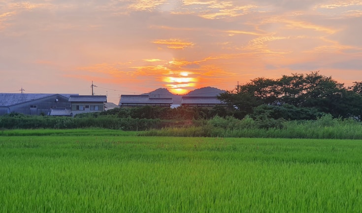 A vibrant sunset over the Acholi landscape with clean, green fields