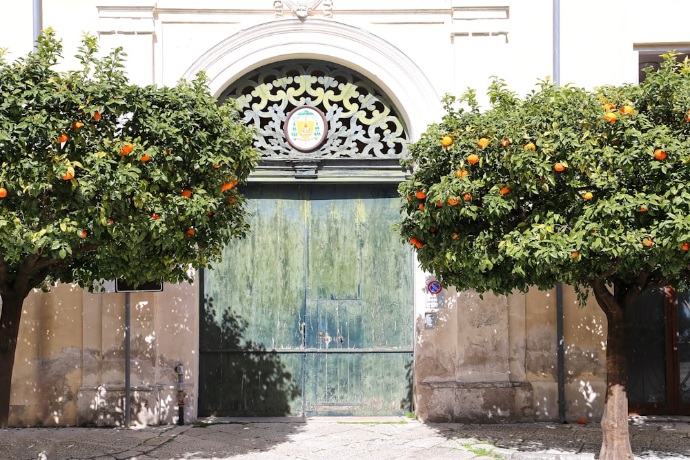 une entrée d’un bâtiment avec des orangers devant lui