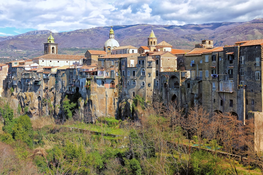 a city with a lot of buildings and a mountain in the background