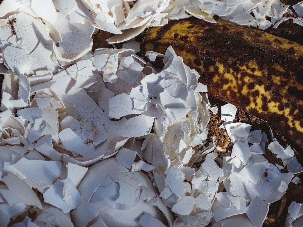 Eine Banane sitzt auf einem Stapel geschreddertem Papier