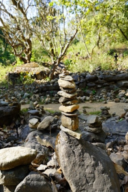 A serene natural setting featuring a carefully balanced stack of stones on a large rock. Lush green trees and vegetation surround the area, with dappled sunlight filtering through the leaves. The environment conveys a sense of calm and natural harmony.