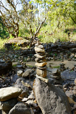 A peaceful outdoor setting for energy work.