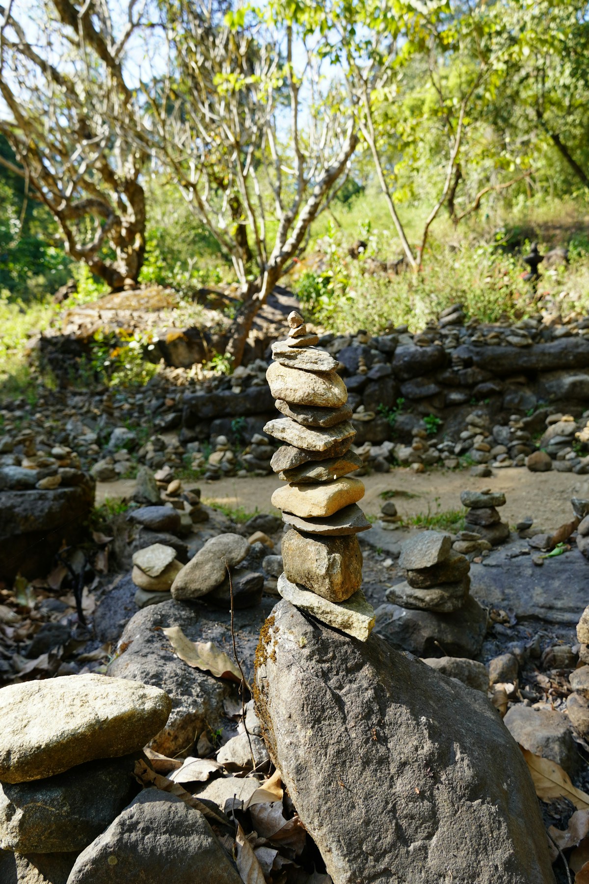 Rejuvenating the Soul: How Nature Restores Your Spiritual Energy