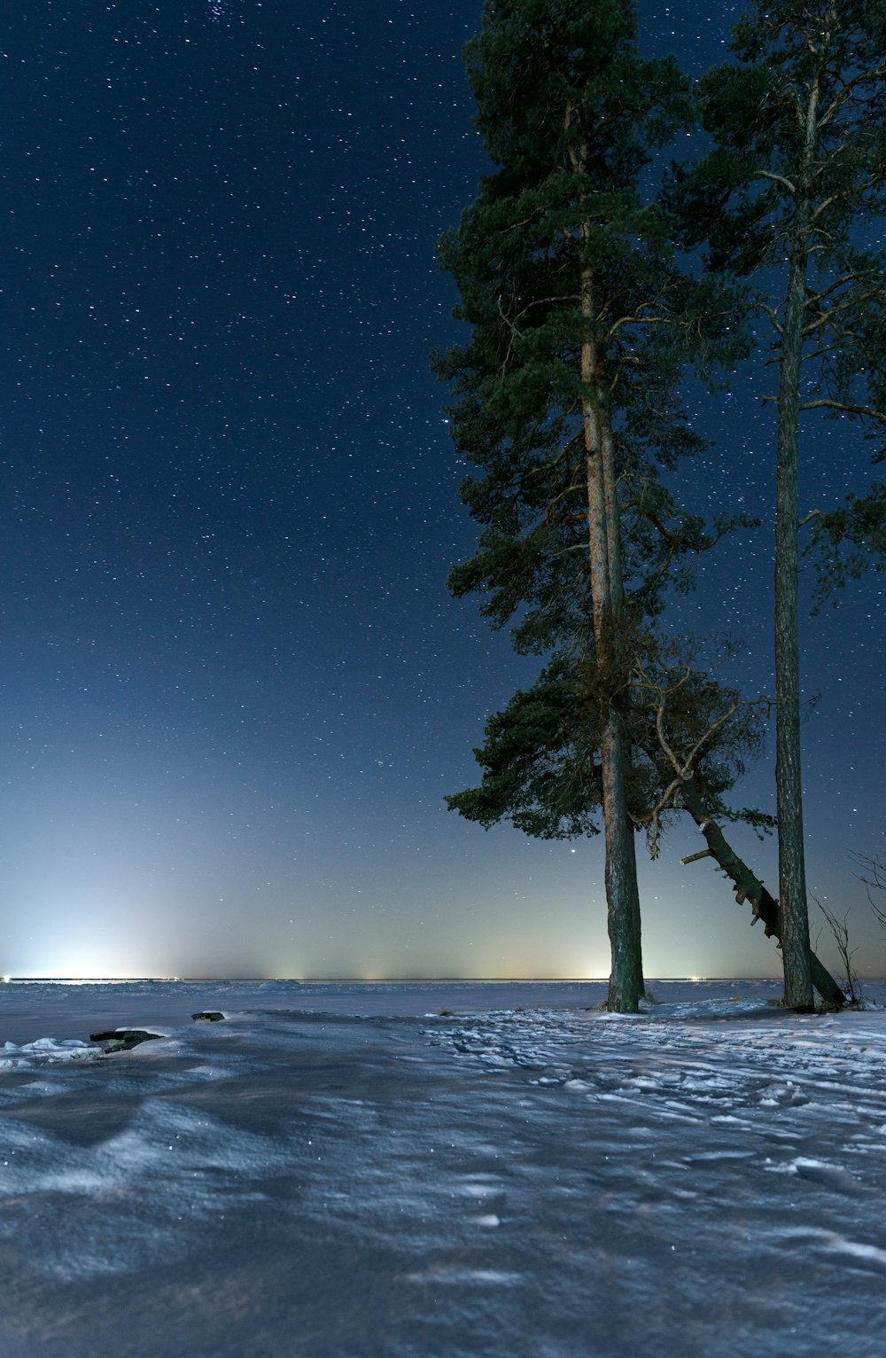 a night time scene of a snow covered field with trees