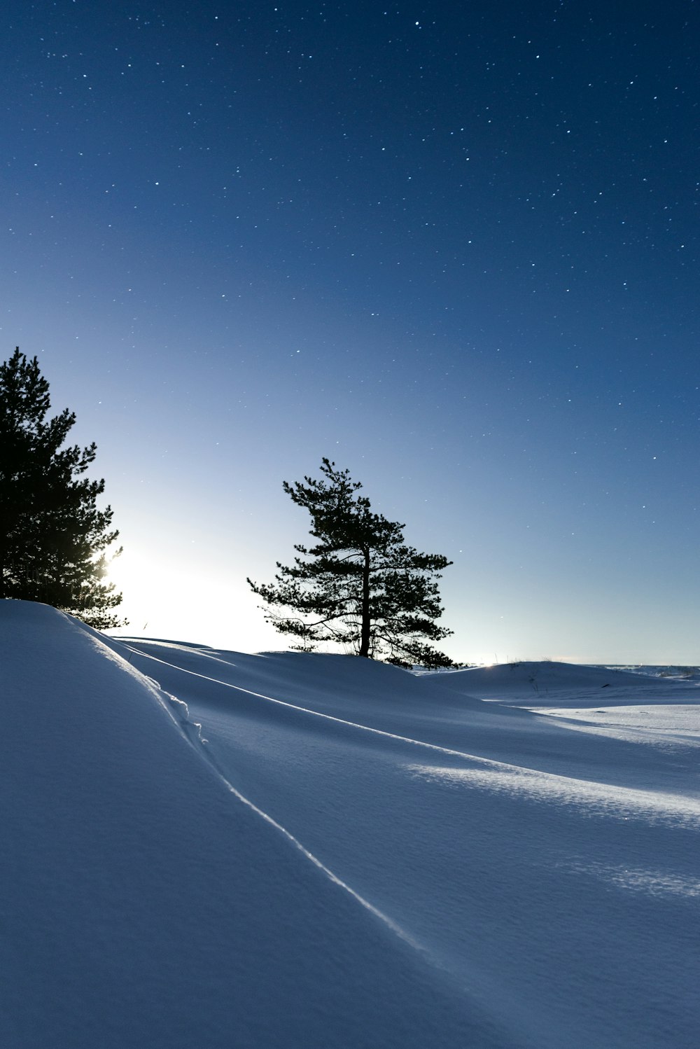 a lone tree in the middle of a snowy field