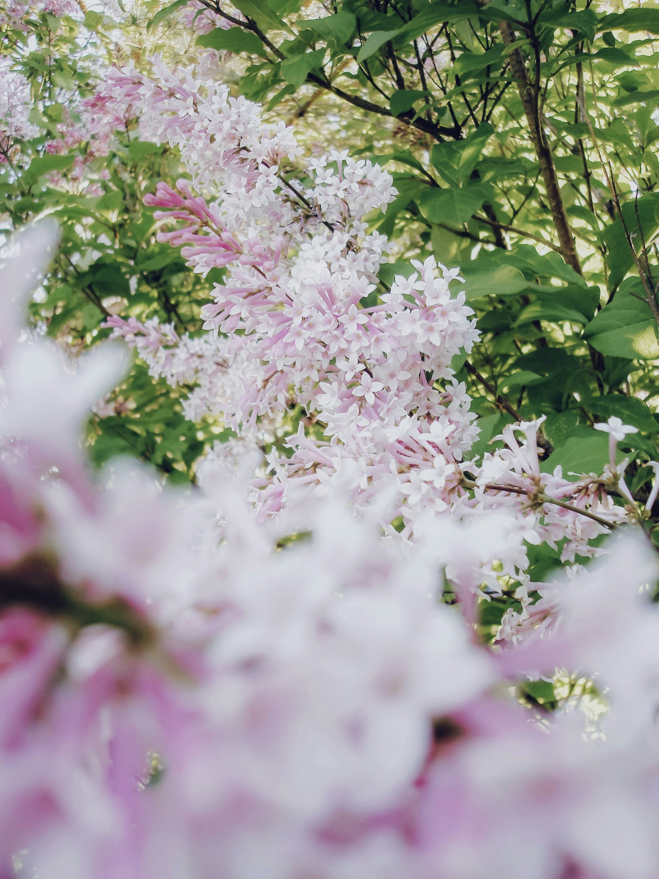 Photo by eugene_golovesov