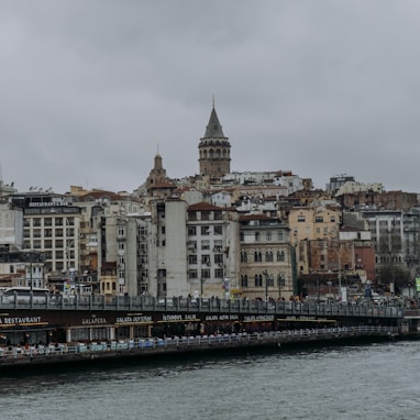 a bridge over a body of water with buildings in the background