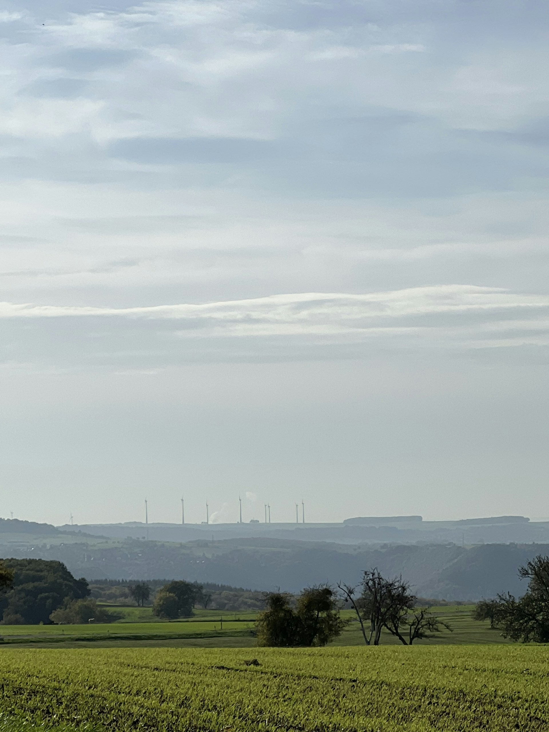 gray computer monitor