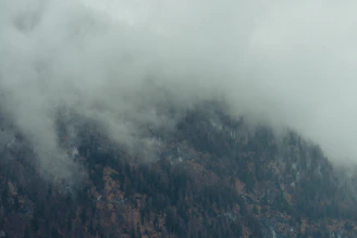 A foggy mountain scene where shadows shift into unrecognizable shapes, evoking eerie transformation