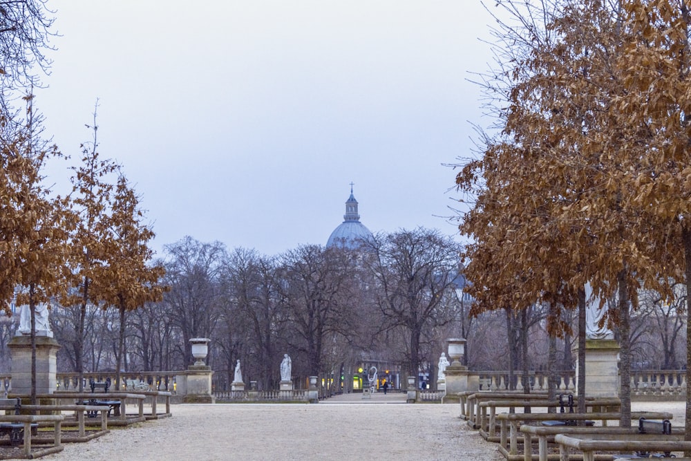 a park with benches and trees in front of a building