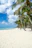 Smiling tourist enjoying the sunny white sand beach of Saona Island with palm trees in the background.