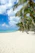 Smiling tourist enjoying the sunny white sand beach of Saona Island with palm trees in the background.