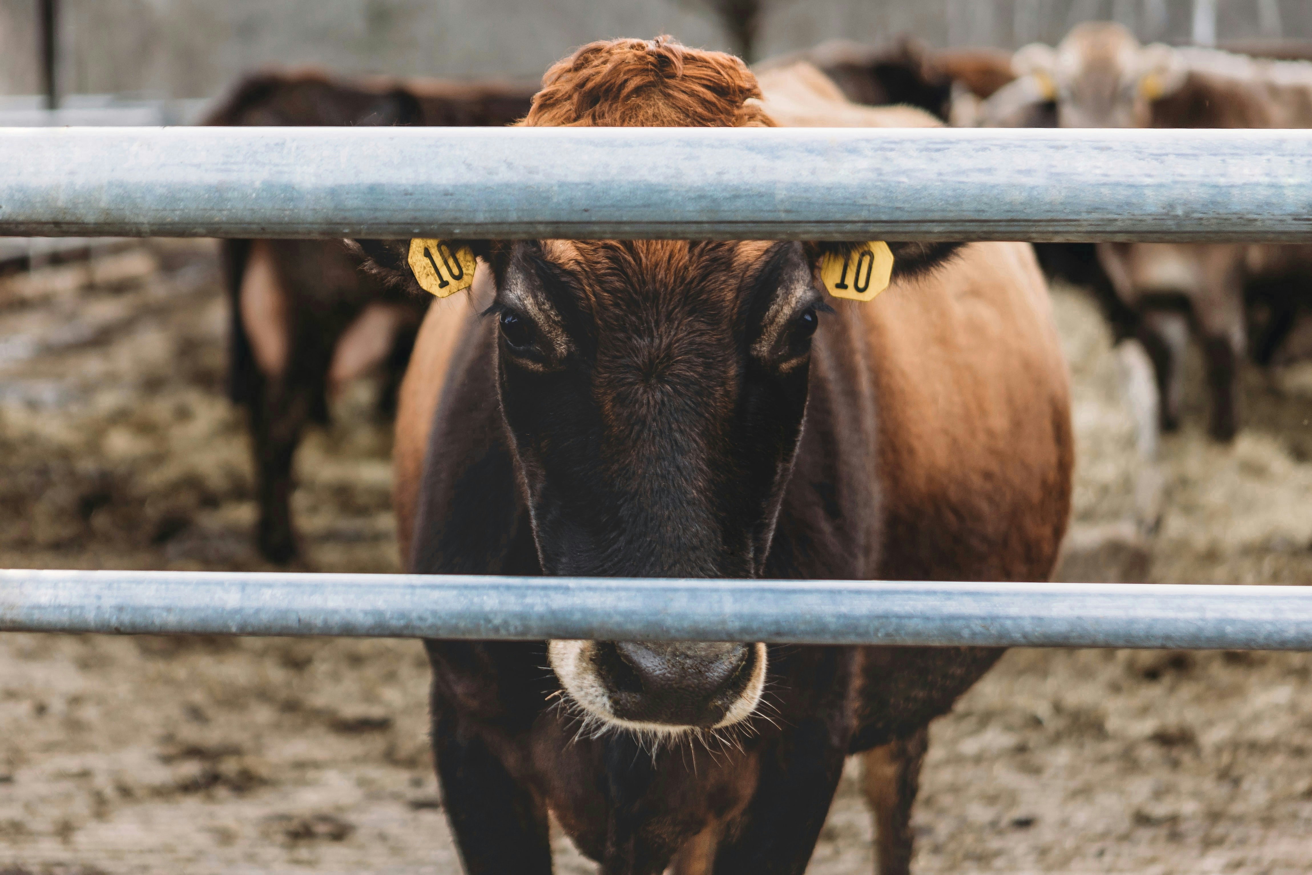 What is PTOL in Aviation? (Point Take Off And Landing)