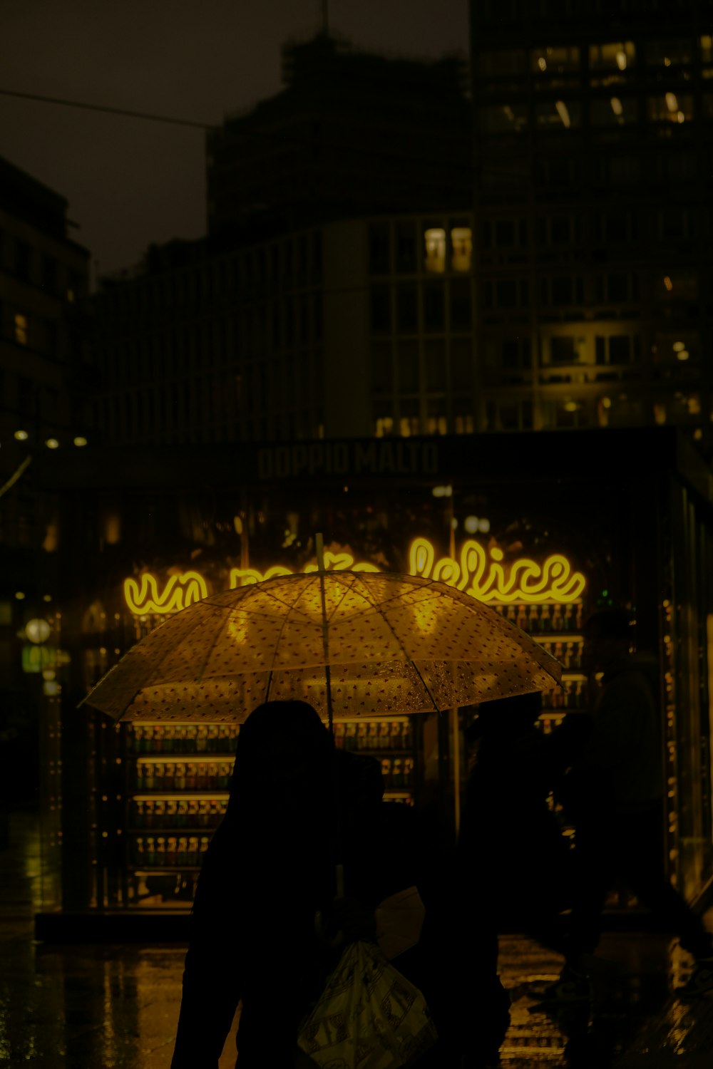 a person holding an umbrella in the rain