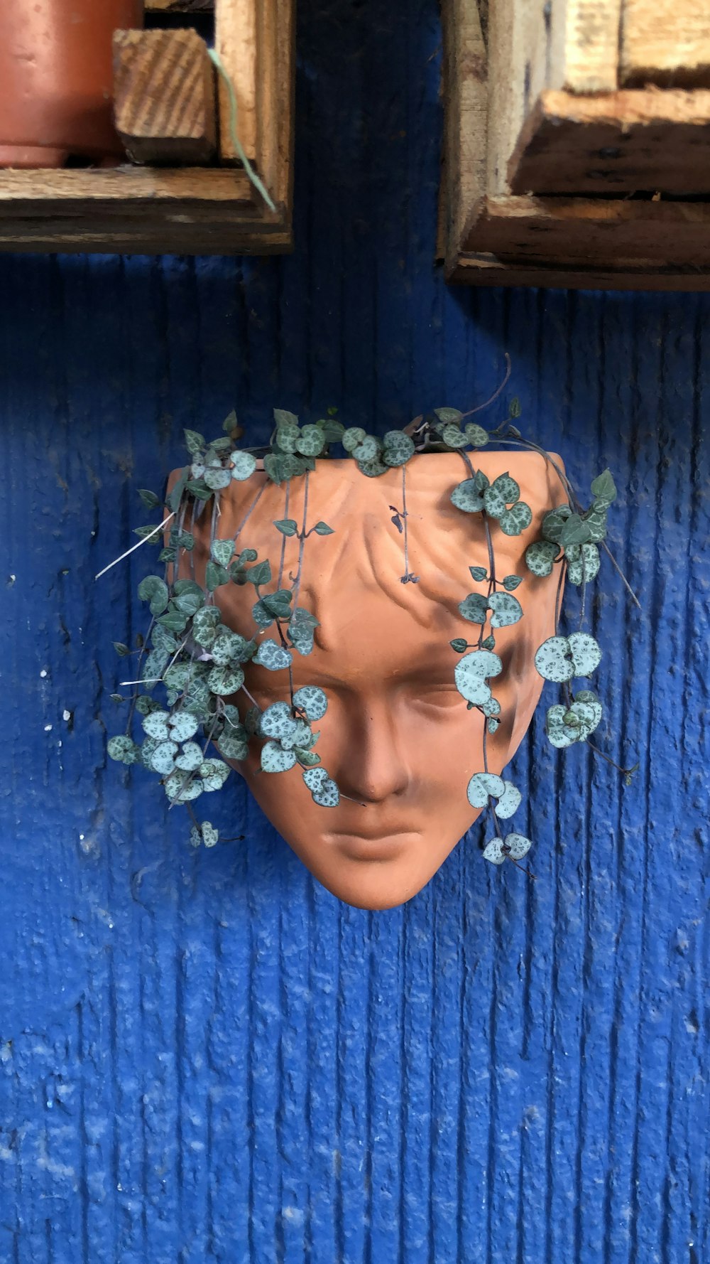 a clay head with a plant growing out of it