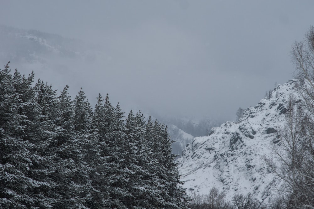 a mountain covered in snow next to a forest