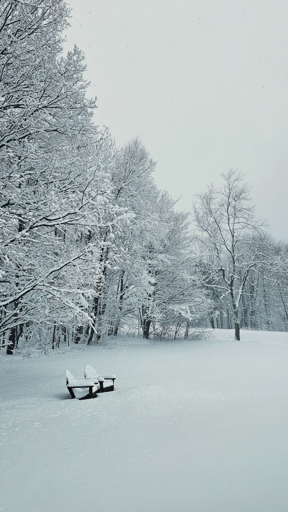 a park bench covered in snow next to trees