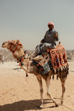 A person wearing traditional attire sits atop a camel adorned with colorful decorations. The background features a sandy landscape with several people in the distance, suggesting a desert or historical site setting.