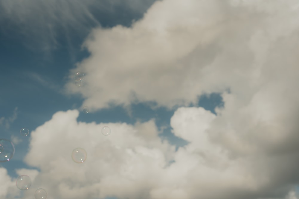 a group of bubbles floating in the air