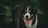 A friendly black, white, and tan dog, possibly an Australian Shepherd, is standing against a background of lush green trees. The dog is looking directly at the camera with its tongue out, conveying a sense of playfulness. The setting is outdoors, likely in a forest or wooded area.