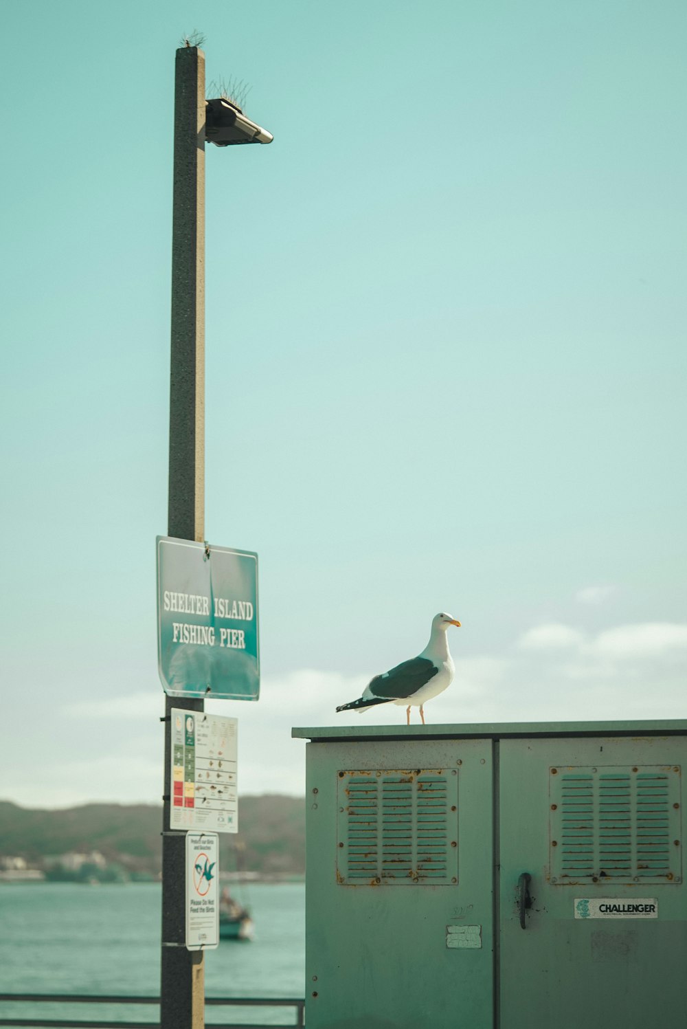 a seagull sitting on top of a box next to a sign