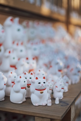 A collection of white ceramic cat figurines, known as maneki-neko, is neatly arranged on wooden display shelves. Each cat has a raised paw, red collars, and gold medallions around their necks. The background is softly blurred, giving focus to the rows of figurines in various sizes.