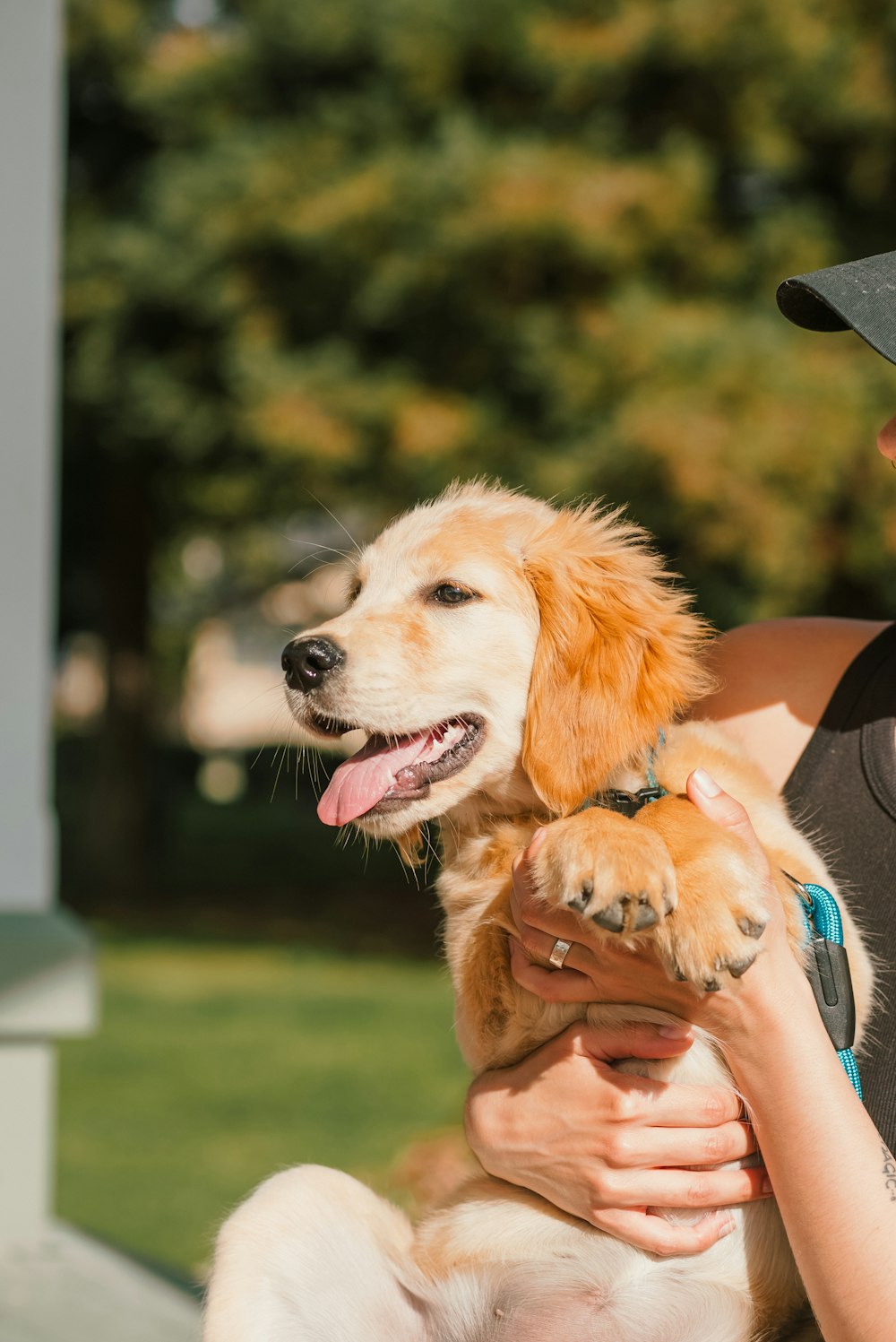 una persona che tiene un cane in braccio