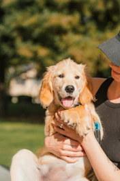 a woman is holding a dog in her arms