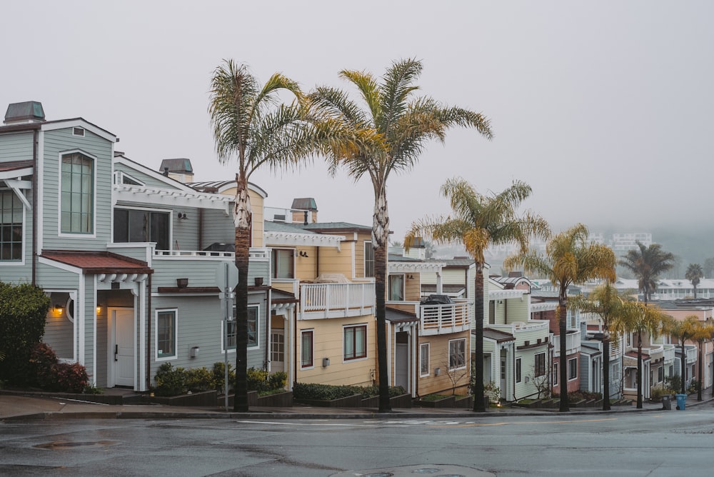 a row of houses on a street with palm trees