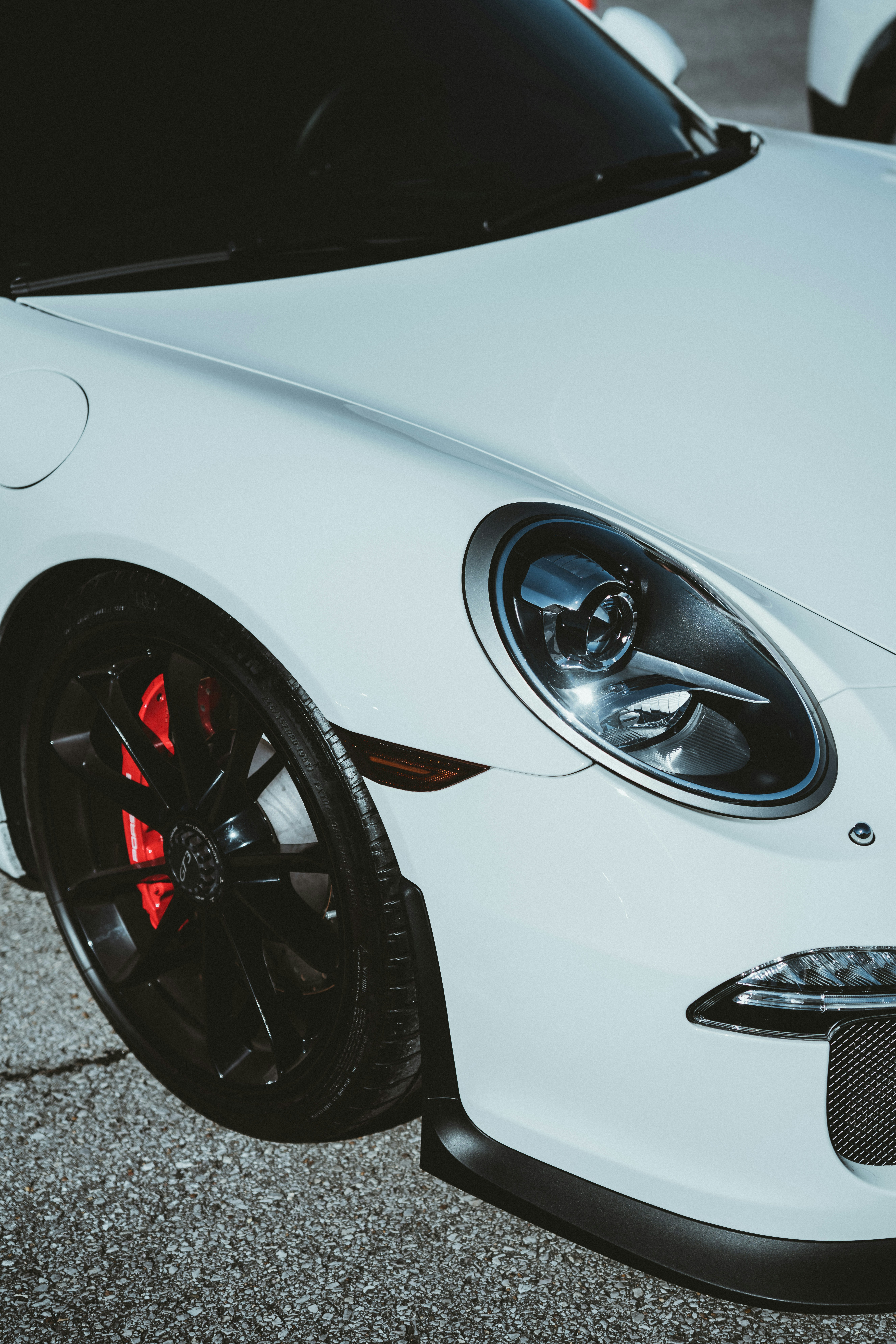 Photo by colemangloverphotography