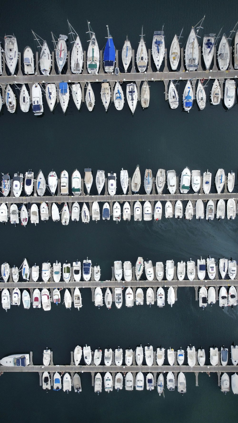 Un tas de bateaux sont garés dans une marina