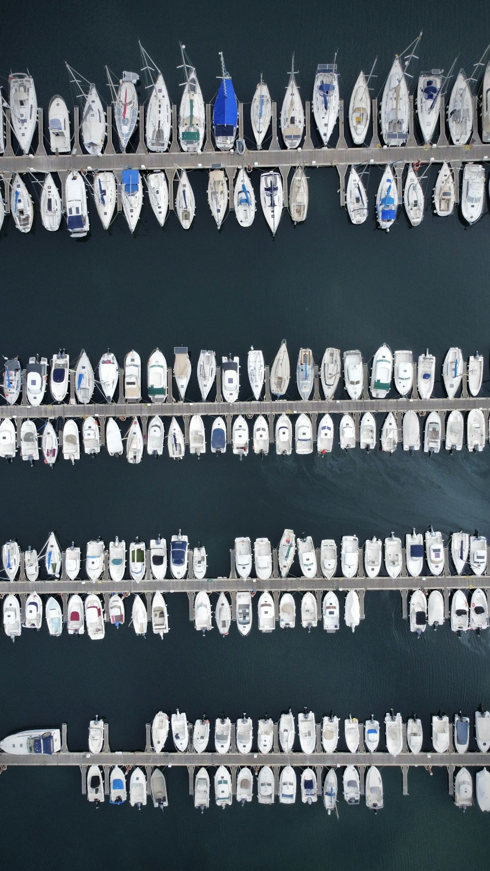a bunch of boats are parked in a marina