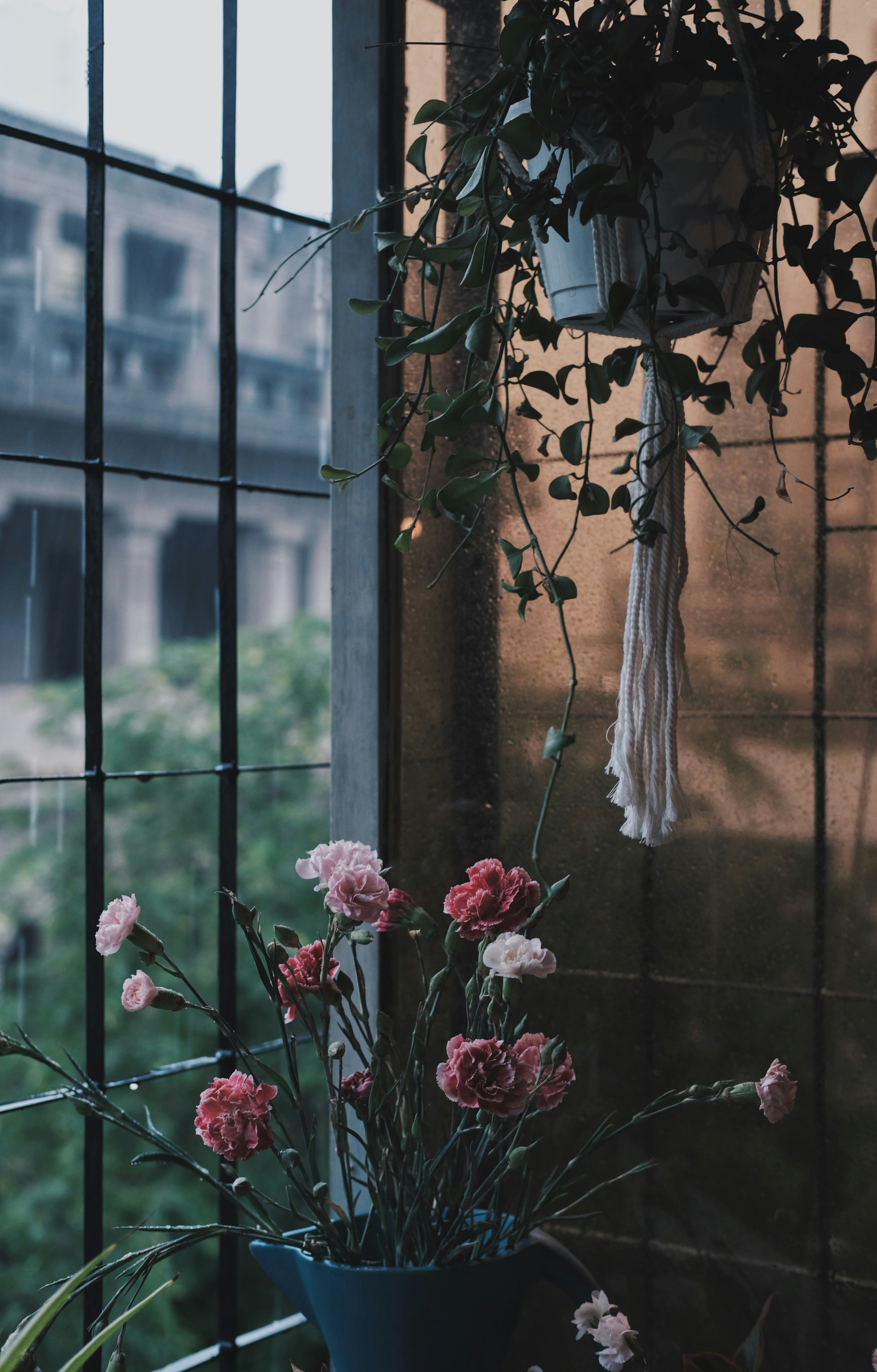 Photo by lenguyenkhoi