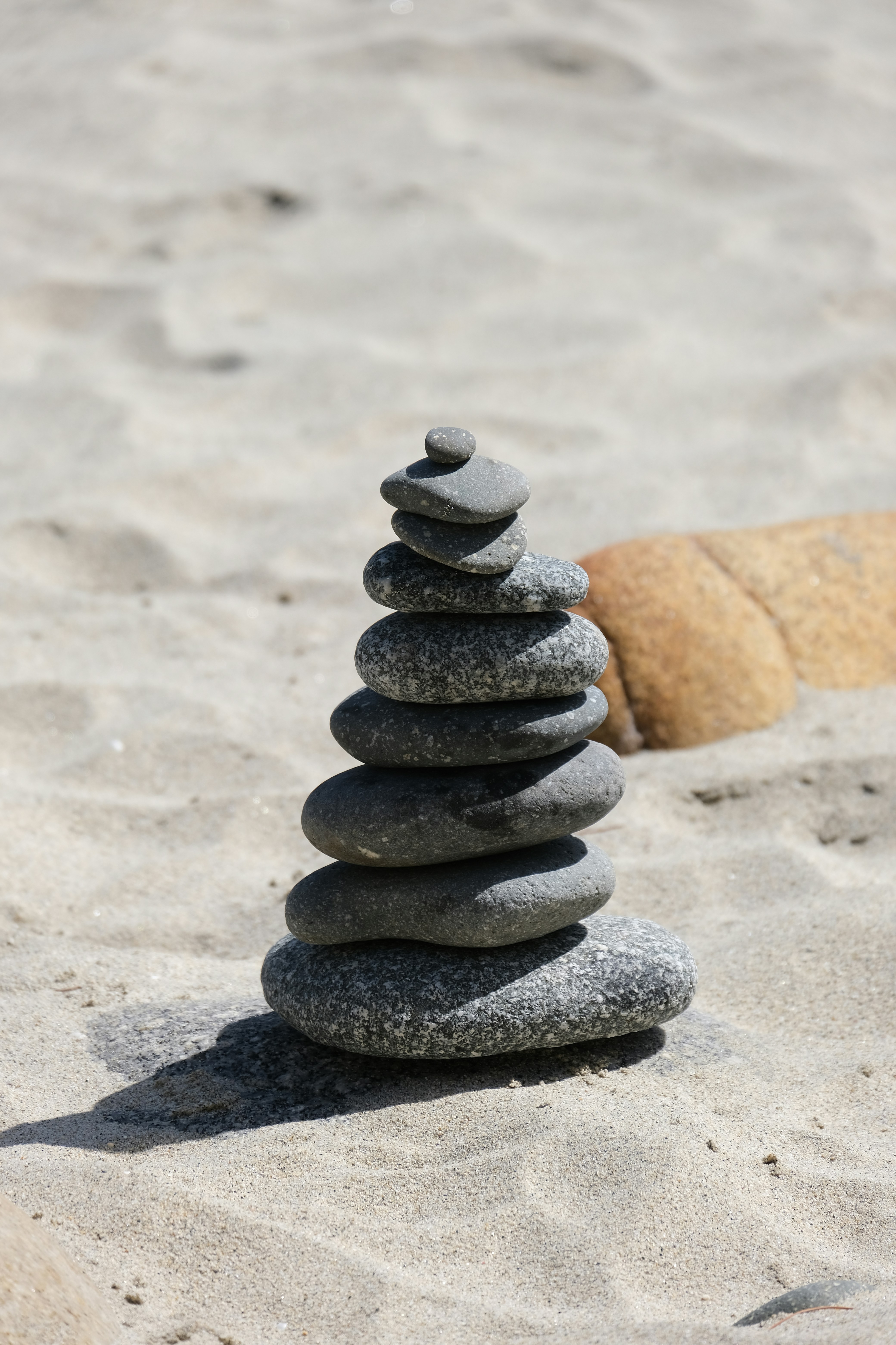 Photo by milada_vigerova