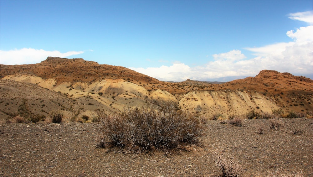 a desert landscape with mountains in the background