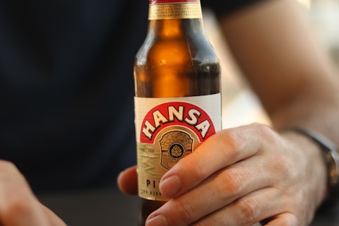 A hand holds a brown glass bottle of Hansa Pilsner beer. The label prominently displays the brand name in red and white colors.