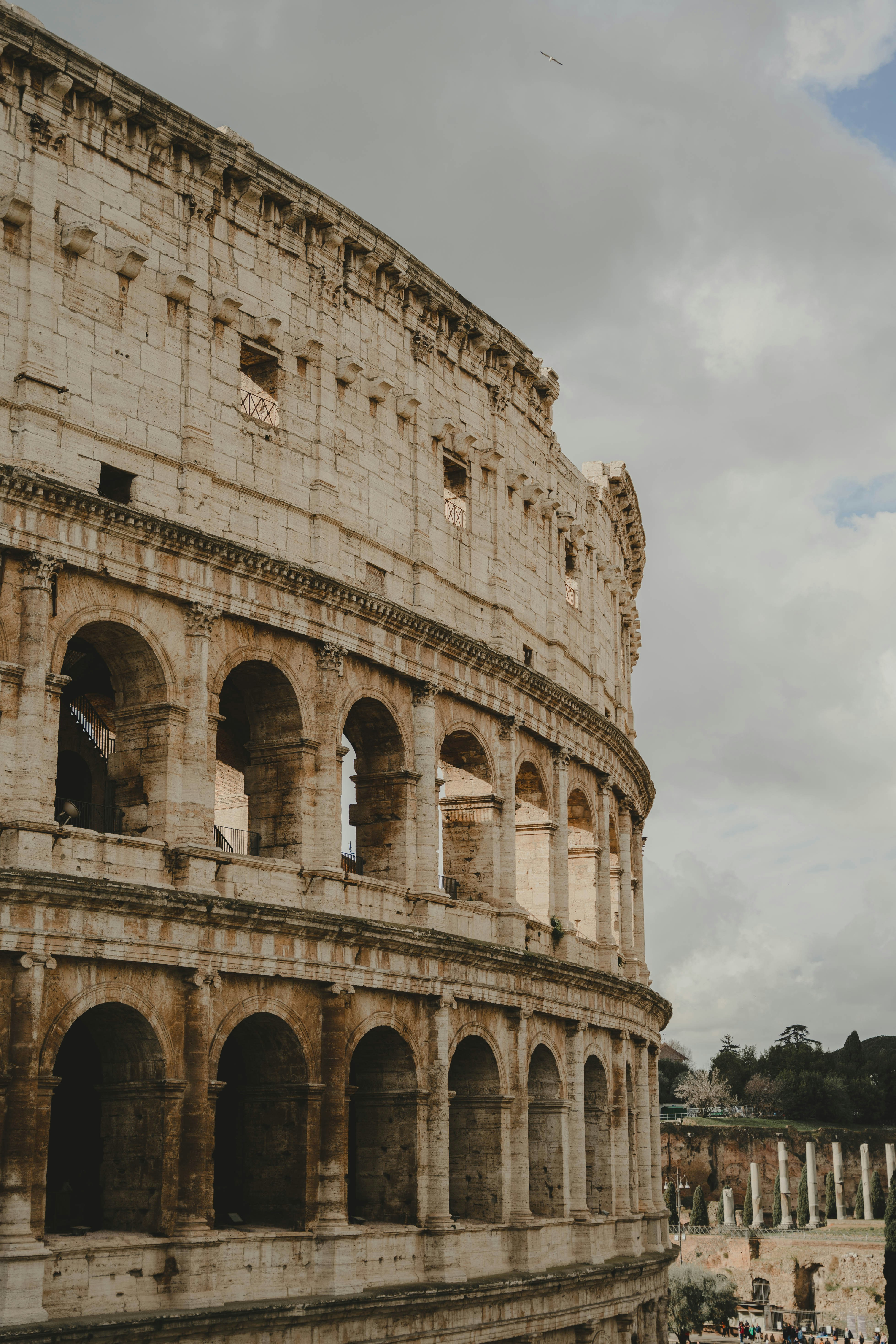 Photo by makiphotographer