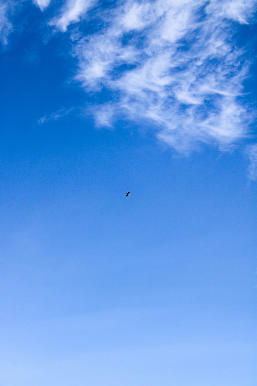 a kite is flying high in the blue sky