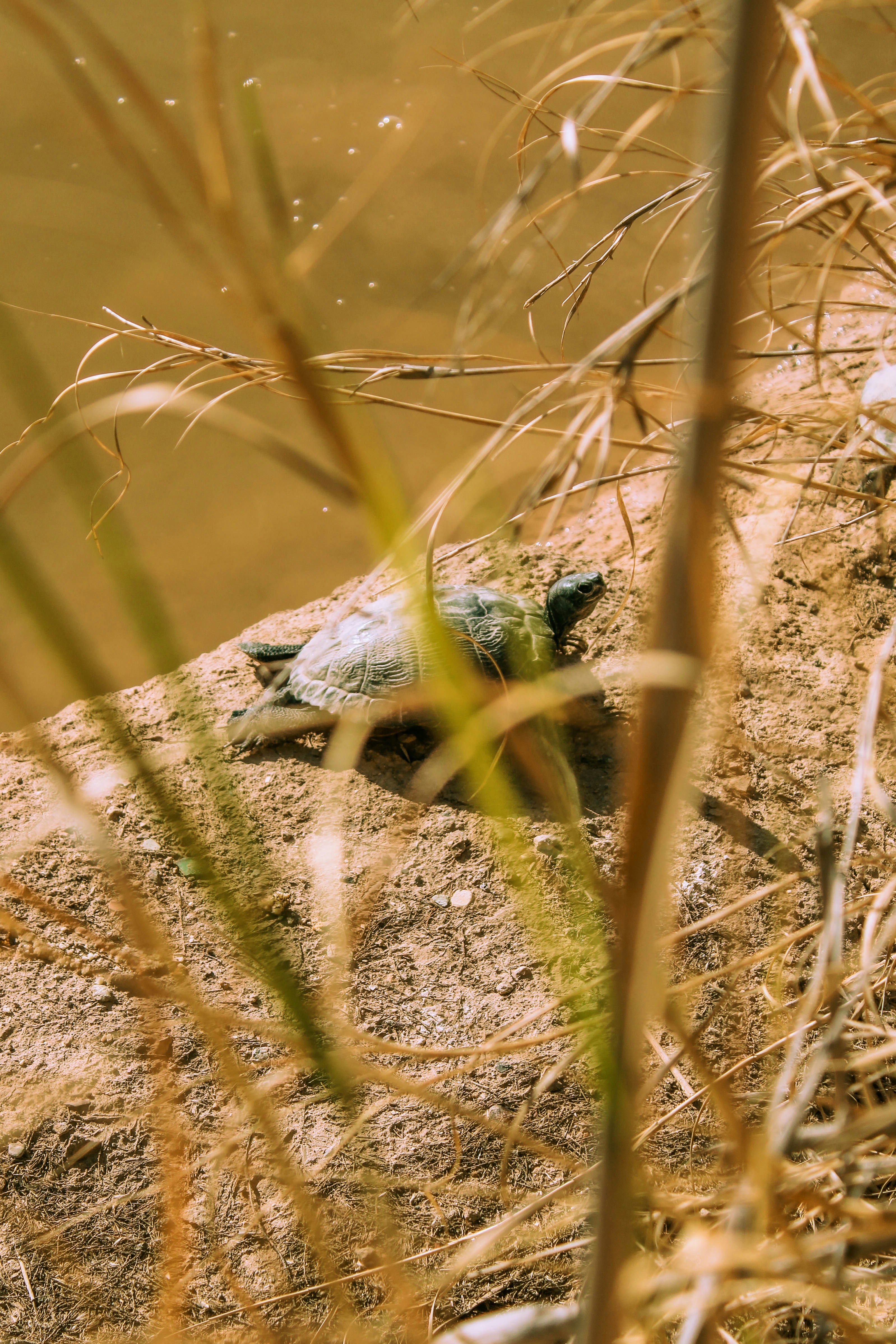 Photo by weer_oficial