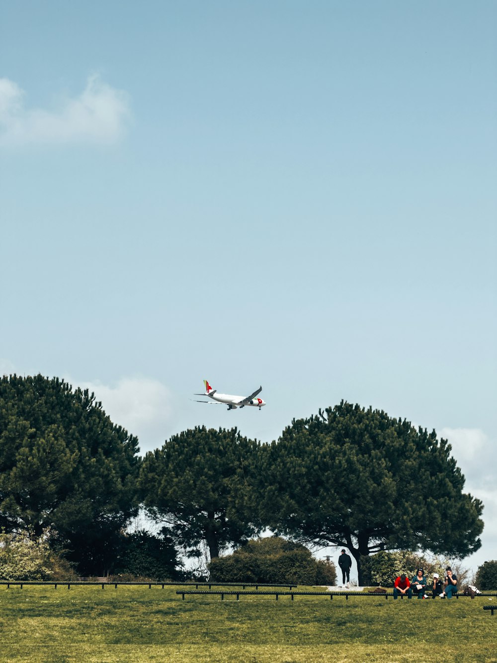 a plane flying over a lush green field